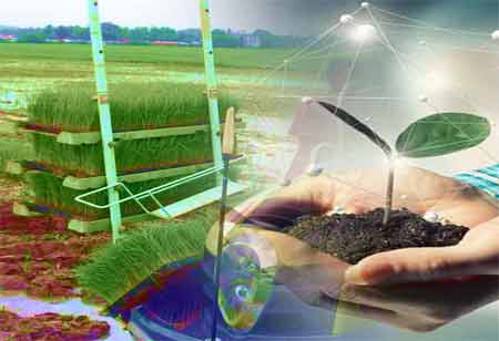 How can Green Technology Help Your Business Grow?