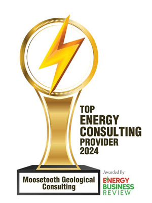 Top 20 Energy Consulting Providers - 2024