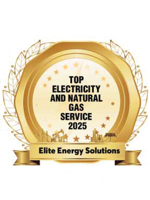 Top Electricity and Natural Gas Service 2025